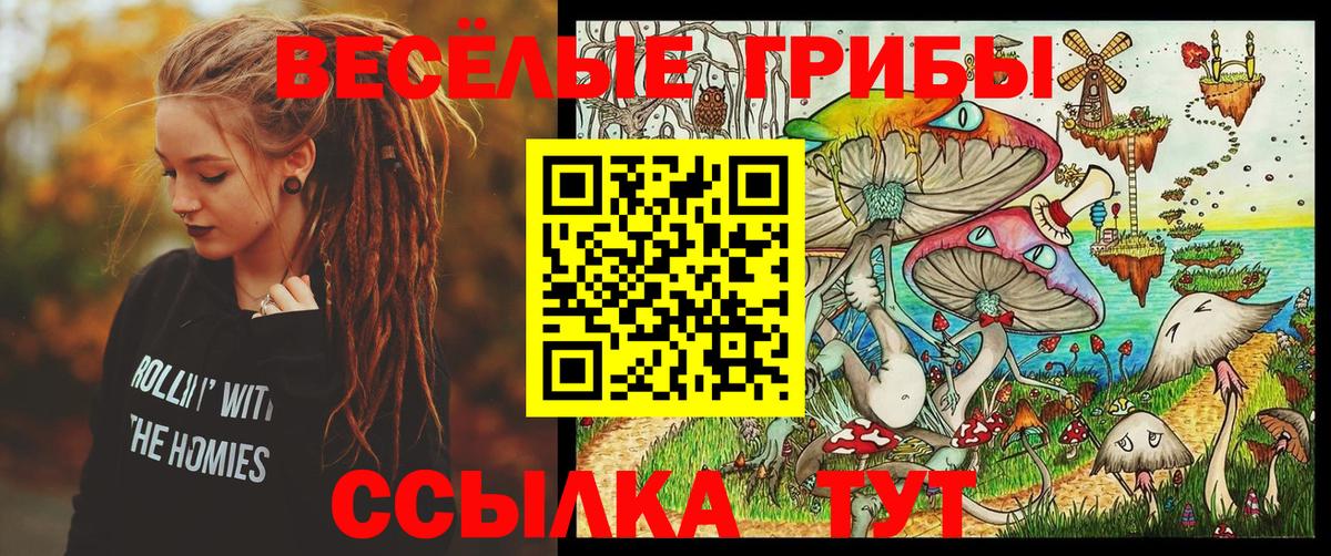 Печора  Псилоцибиновые грибы Psilocybine cubensis  Галлюциногенные грибы Psilocybine cubensis  Вход с VPN 
